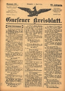 Gnesener Kreisblatt 1914.06.06 Jg.63 Nr45