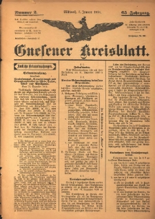 Gnesener Kreisblatt 1916.01.05 Jg.65 Nr2