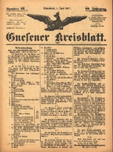 Gnesener Kreisblatt 1917.06.09 Jg.66 Nr46