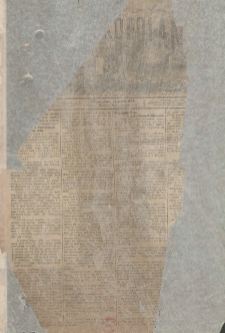 Wielkopolanin 1909.01.01 R.27 Nr1