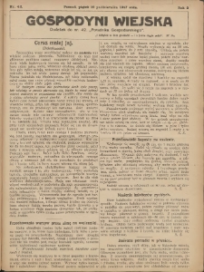 Gospodyni Wiejska: dodatek do nr.42. „Poradnika Gospodarskiego” 1917.10.19 R.2 Nr42