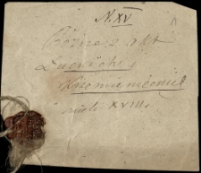 "R&oacute;żne z akt łuckich i krzemienieckich 18 w." - akta proces&oacute;w sądowych