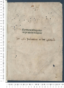 Sermones dominicales super Evangelia et Epistolas