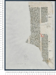 Biblia, Lat.: Cum postillis Nicolai de Lyra et expositionibus Guillelmi Britonis in omnes prologos s. Hieronymi et additionibus Pauli Burgensis replicisque Matthiae Doering. - Nicolaus de Lyra: Contra perfidiam Iudaeorum. P. I-IV