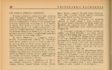 Czy Poznań otrzyma chłodnię?