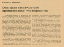 Dzisiejsza rzeczywistość spółdzielczości wielkopolskiej
