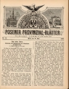 Posener Provinzial-Bl&auml;tter 1880.05.23 Nr22