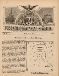 Posener Provinzial-Bl&auml;tter 1880.06.13 Nr25