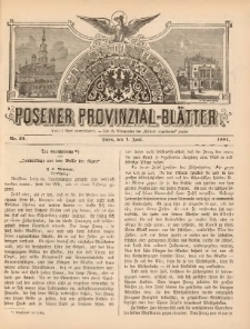 Posener Provinzial-Bl&auml;tter 1881.06.01 Nr23