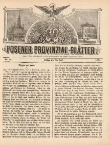 Posener Provinzial-Bl&auml;tter 1881.07.31 Nr31