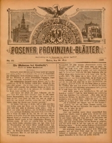 Posener Provinzial-Bl&auml;tter 1893.05.28 Nr22