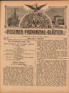 Posener Provinzial-Bl&auml;tter 1895.11.17 Nr46