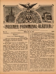 Posener Provinzial-Bl&auml;tter 1896.07.19 Nr29