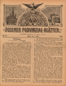 Posener Provinzial-Bl&auml;tter 1897.06.06 Nr23