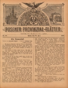 Posener Provinzial-Bl&auml;tter 1897.06.20 Nr25