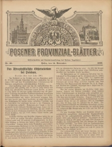 Posener Provinzial-Bl&auml;tter 1902.11.16 Nr46