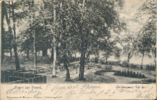 Gruss aus Posen. Etablissement Schilling.