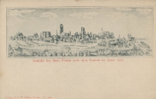 Ansicht der Stadt Posen nach dem Sturme im Jahre 1725.