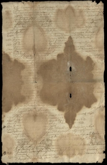 Akta Brzeskich z Chełmu (1609-1736)