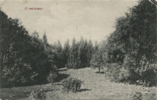 Chwaliszewo. [Park].