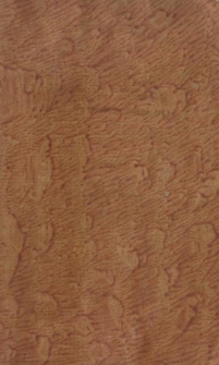 Cours d'&eacute;tudes &eacute;l&eacute;mentaires. T.2 Le&ccedil;ons &eacute;l&eacute;mentaires de g&eacute;ographie