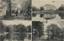 Gola. [Park, pałac Potworowskich, staw, park].