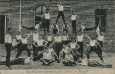 Towarzystwo gimnastyczne "Sokół" w Mosinie.