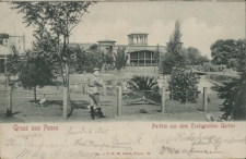 Gruss aus Posen. Parthie aus dem Zoologischen Garten.