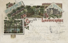 Gruss aus Ludwigsh&ouml;he b/Moschin i/P. 1tes deutsches Ansiedlerhaus der Provinz Posen. Collonade. Schlucht. Gesellschaftshaus u. Kurh&ocirc;tel. Kesselsee.