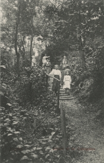 Moschin. Schlucht bei der Ludwigsh&ouml;he.