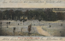 Partie bei der Ludwigsh&ouml;he b. Moschin.