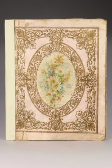 Sztambuch Tadeusza Strumffa z lat 1895-1900