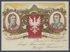 Telegram patriotyczny : Mąż jest kto idzie, gdzie rozum hetmani [DZS 51 III]