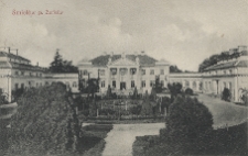 Śmieł&oacute;w p. Zerk&oacute;w. [Pałac Gorzeńskich].