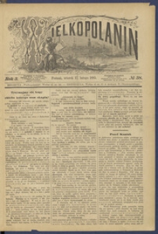 Wielkopolanin 1885.02.17 R.3 Nr38
