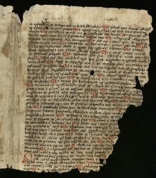 Teksty związane z psałterzem łacińskim - fragment